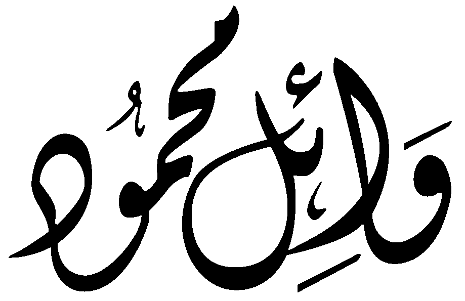 وائل محمود